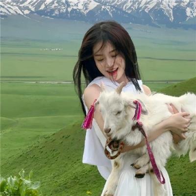 鼹鼠之歌2：香港狂骚曲